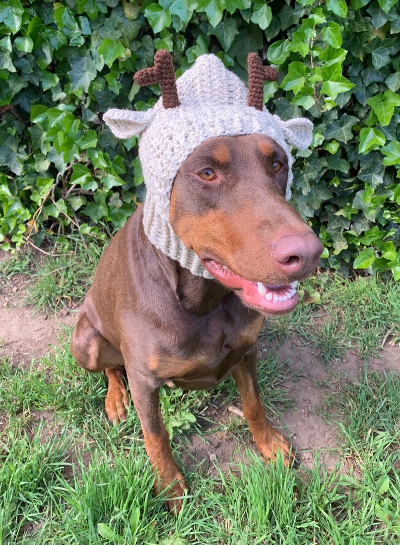 Crochet Pattern Dog Antler Snood Hat Etsy
