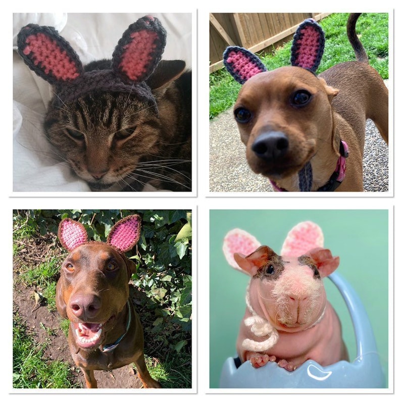 Crochet Pattern Bunny Ears for Pets, Rabbit Ears for Pets Crochet Pattern image 1