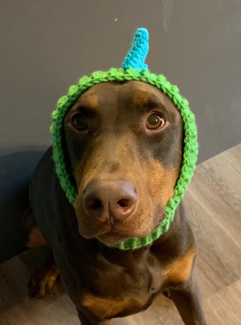 Häkelanleitung Hund Dinosaurier Snood Cowl Bild 4