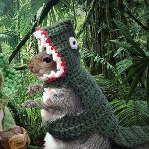 Crochet Pattern T-Rex Hoodie Costume for Squirrels, Guinea Pigs, and Small Animals