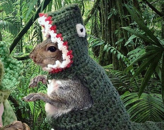 Crochet Pattern T-Rex Hoodie Costume for Squirrels, Guinea Pigs, and Small Animals