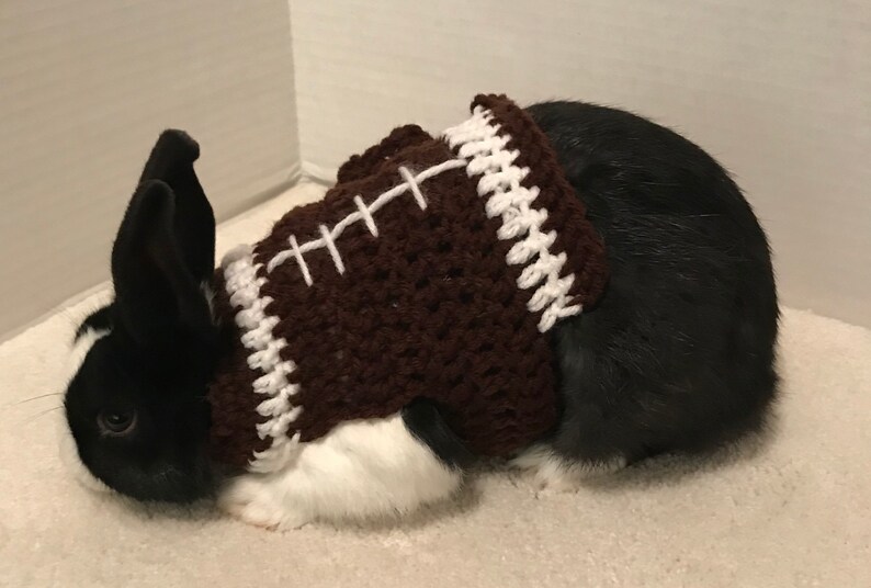 Rabbit Football Sweater, Rabbit Clothes, Rabbit Sweater, Rabbit Costume ...