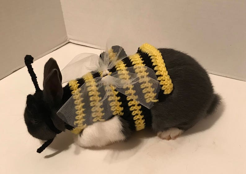 Rabbit Costume Bumble Bee Costume Bumble Bee Outfit Rabbit - Etsy