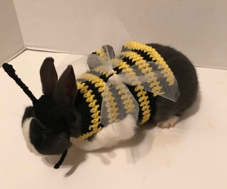 Guinea Pig Bumble Bee Costume Bumble Bee Outfit Guinea Pig Etsy