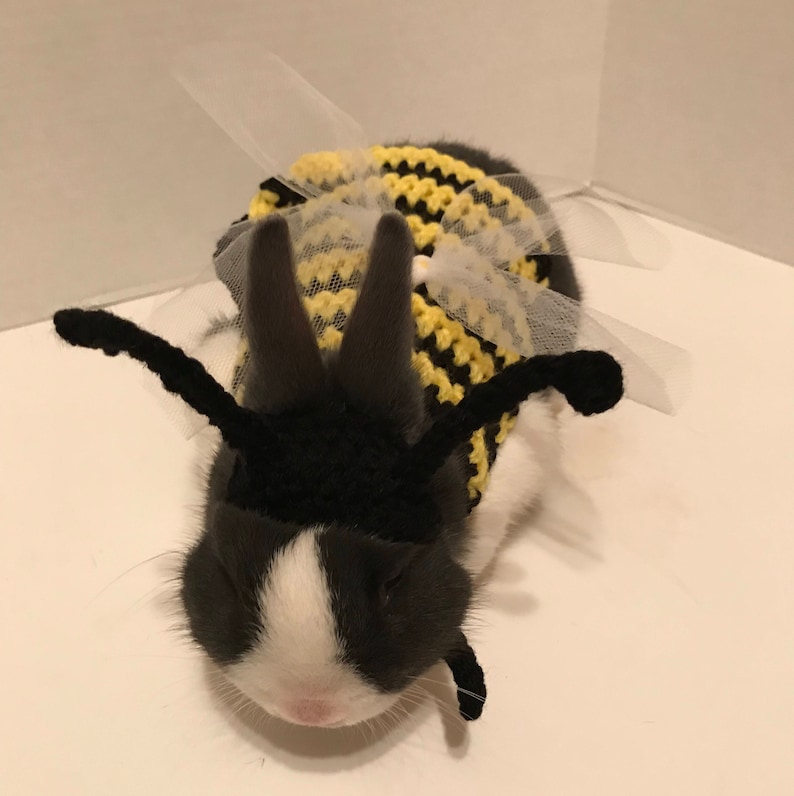 Guinea Pig Bumble Bee Costume Bumble Bee Outfit Guinea Pig Etsy