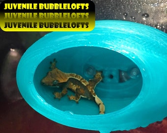 Stroodies Juvenile BubbleLoft (Includes Suction Cups)