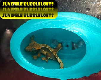 Stroodies Juvenile BubbleLoft (Includes Suction Cups)