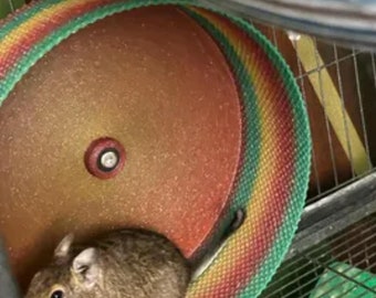 Stroodies 10&quot; smoothly-TEXTURED Magnetic Hanging Hamster Wheel (v10.2)