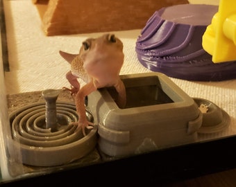 Stroodies Filling Station for Leopard Geckos