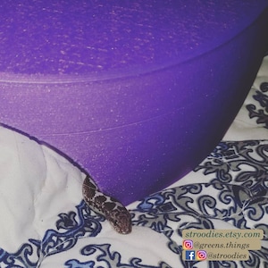 Può includere: Una ciotola rotonda di colore viola, con una superficie testurizzata, con un serpente che spunta da sotto. La ciotola è su un tessuto a motivi bianchi e blu. Il testo "stroodies.etsy.com" è visibile nell'angolo in basso a destra dell'immagine. Sono visibili anche le maniglie dei social media "@greens.things" e "@stroodies".