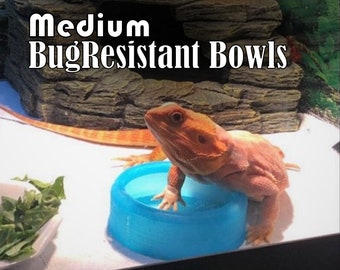 Stroodies CLEARANCE Medium Bug-Resistant Bowl for Leopard Geckos - Stroodies Original Style