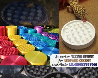 Leopard Gecko or Cricket Water Dish