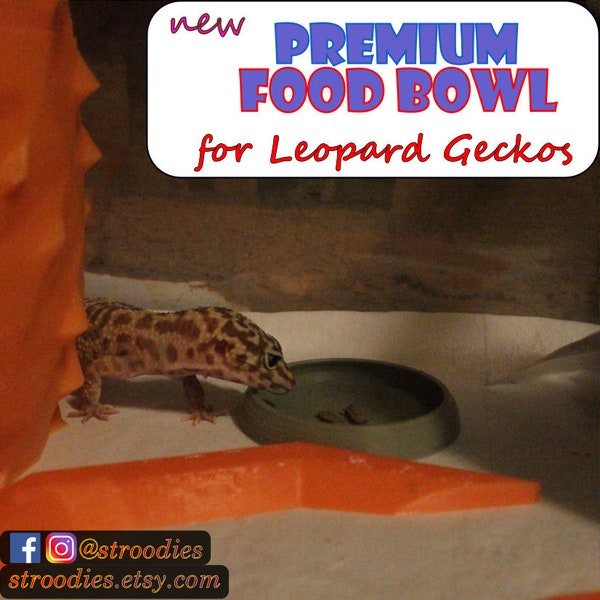 Stroodies Premium Food Bowl for Leopard Geckos