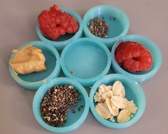 Stroodies Prototype Crabitat Bowl for Hermit Crabs and Others