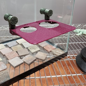 May include: A burgundy-colored plastic reptile feeder with two circular openings. The feeder is attached to the side of a glass terrarium with two green plastic clips.