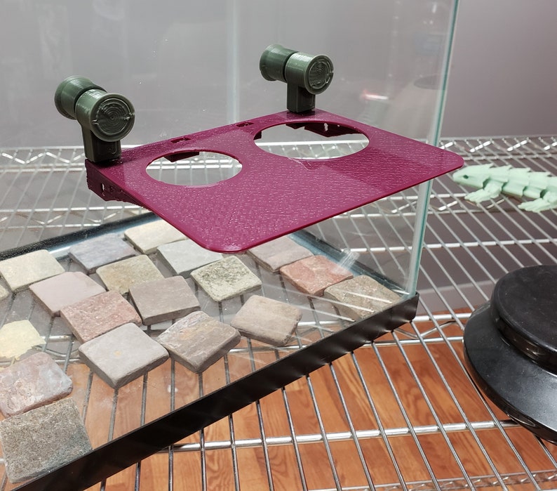 May include: A burgundy-colored plastic reptile feeder with two circular openings. The feeder is attached to the side of a glass terrarium with two green plastic clips.
