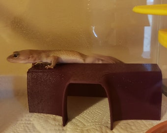 Stroodies T-Shaped Hide