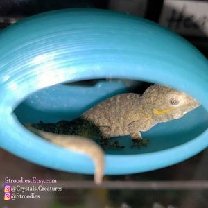 Stroodies TinyLoft for Mourning Geckos, Micro Geckos, Hatchlings, and Jumping Spiders (tiny BubbleLoft, Includes Suction Cups)