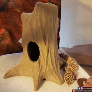 Stroodies Tree Hide