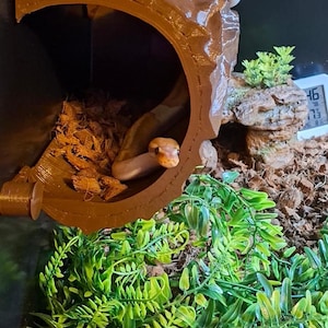 Stroodies Log Hide (Hollow & Magnetic)
