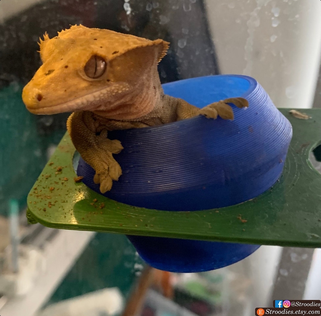 Realistic Crested Gecko Supplies REPTI ZOO Magnetic Crested Gecko