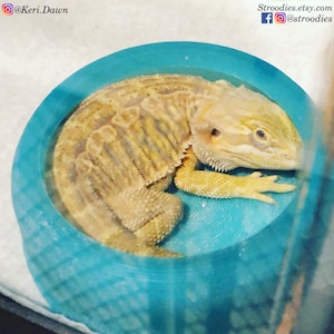Stroodies BugResistant Bowls for Leos and Beardies | All Sizes | New and Improved Version