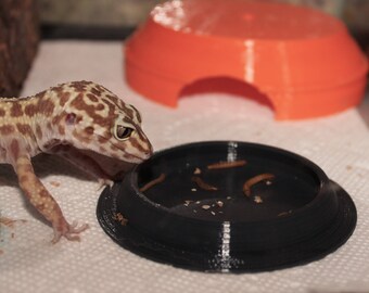 Premium Leopard Gecko Food Bowl