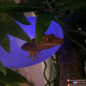 Stroodies Juvenile Magloft (Magnético Juvenil BubbleLoft)