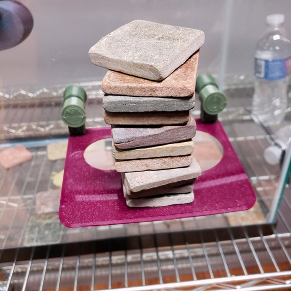 Stroodies HEAVY-DUTY MagLedge for Large Geckos (I'm serious)