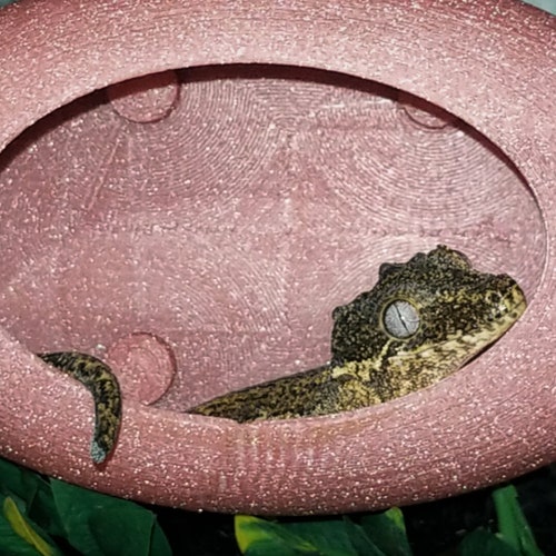 Stroodies Giant Bubbleloft Hide For Arboreal Geckos - Large Hanging Hideout For Adult Crested Geckos & More - View #9