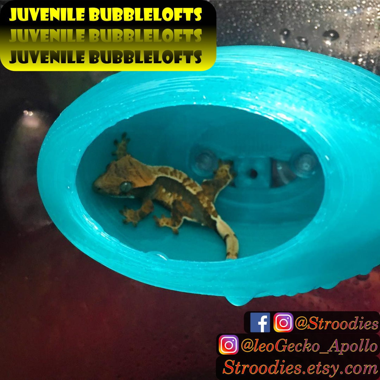 Stroodies Juvenile BubbleLoft (Includes Suction Cups)