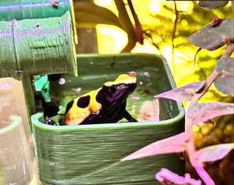 Stroodies Prototype TinyTrough Magnetic Gecko Feeder, Stroodies Trough-Style Ledge