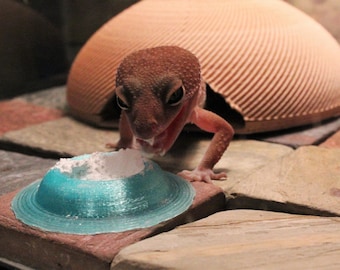 Premium Leopard Gecko Calcium Dish