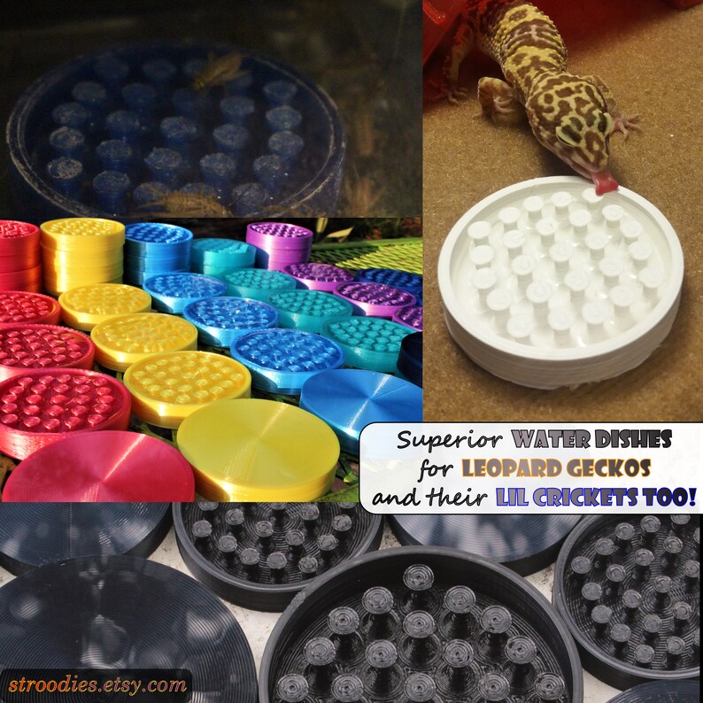 Stroodies Premium Water Dish for Leopard Geckos or Crickets Etsy
