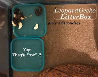 Stroodies LitterBox for Geckos