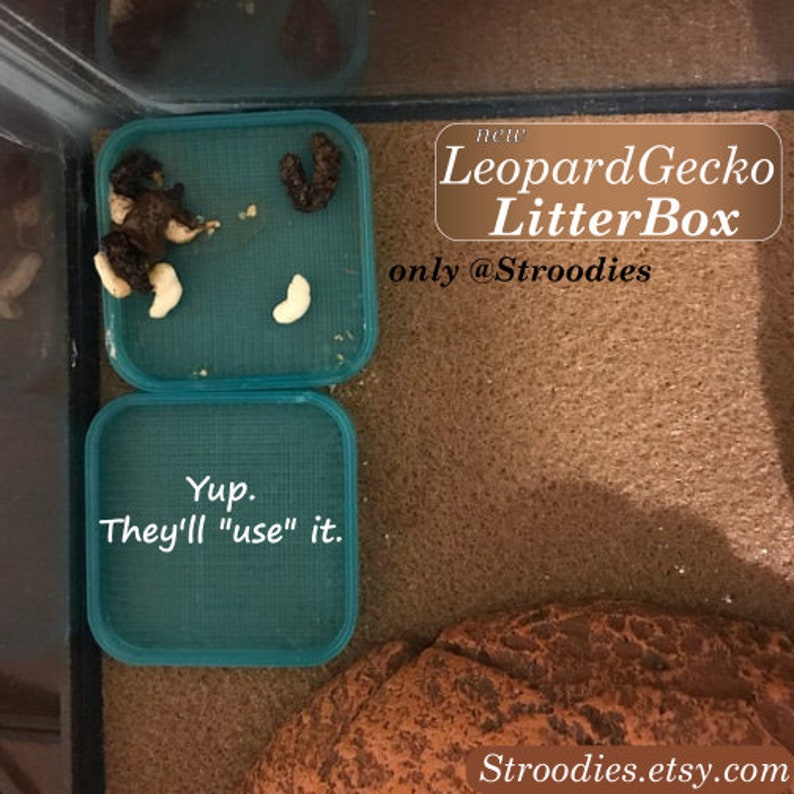 May include: Two blue plastic square containers with a textured surface. The top container has brown and white lizard droppings inside. The bottom container has the text "Yup. They'll "use" it."  The text "new Leopard Gecko LitterBox only @Strooodies" is in a white rectangle with a black outline. The text "Strooodies.etsy.com" is at the bottom of the image.