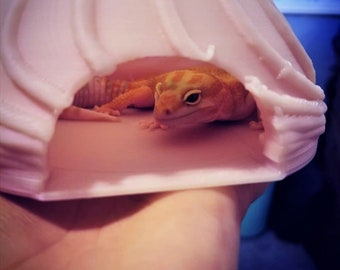 Puede incluir: Una escondite de cerámica rosa para reptiles con forma de concha marina con un gecko leopardo en su interior. La escondite tiene una superficie lisa y redondeada y una gran abertura para que el gecko pueda entrar. El gecko es de color naranja claro con manchas y rayas oscuras.