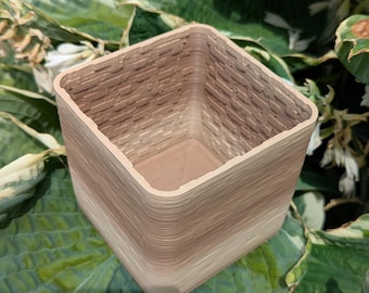 Stroodies Prototype Hermit Crab Pool - 4"