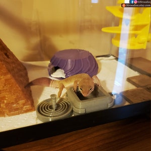 K&ouml;nnte beinhalten: Ein kleines, hellbraunes Gecko-Echse trinkt Wasser aus einer grauen Keramikschale. Das Gecko befindet sich in einem gl&auml;sernen Terrarium mit einem violetten Versteck, einer grauen Spirale und einer gelben Kletterstruktur.