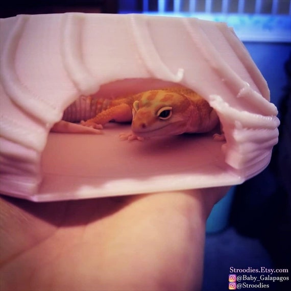 Pet Supplies Stroodies Hide N Go For Leopard Geckos Aquariums