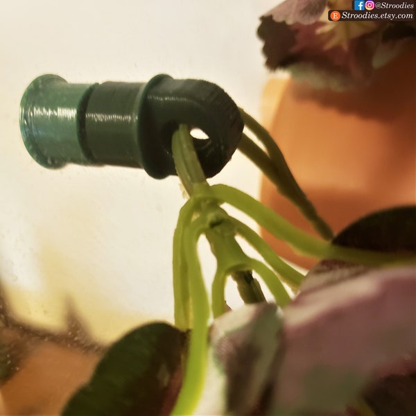 Stroodies Magnetic Plant Holder