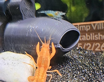 Stroodies Prototype AQ-Safe Tiny Aqualoft for Dwarf Crayfish and Shrimp (Aquarium-Safe tiny Magnetic BubbleLoft)