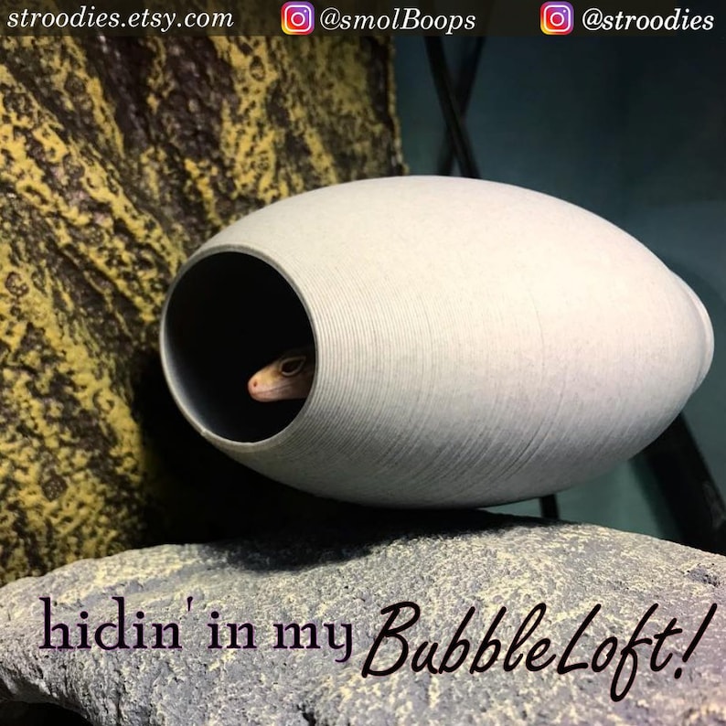 Stroodies Original BubbleLoft Includes Suction Cups image 1