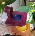 Stroodies MicroMagLedges for for Mourning Geckos, Micro Geckos, Hatchlings, and Jumping Spiders (Magnetic Microledge)