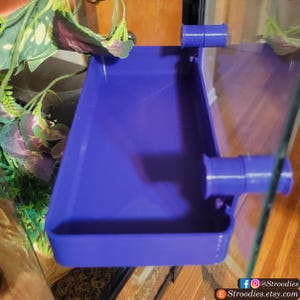 May include: A purple plastic reptile food dish with two clips for attaching to the side of a glass terrarium.