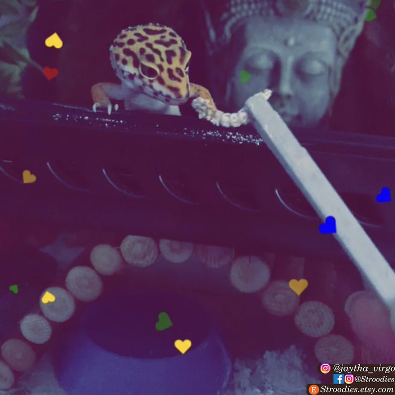 May include: A small leopard gecko with brown and yellow spots is perched on a black surface. The gecko is looking at the camera. There are several small hearts in different colors scattered around the image. The gecko is in front of a statue of a Buddha with a serene expression.