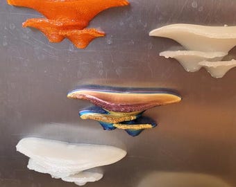 Stroodies Tiny Mushroom MagLedge, Magnetic Ledge for Mourning Geckos & Jumping Spiders