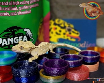 Stroodies Mützen für kleine Geckos (passend für MicroLedge)