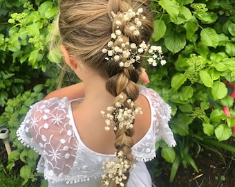 Ivoor gipskruid echte gedroogde geconserveerde bloem 4 haargrepen schuifspelden Boho NL