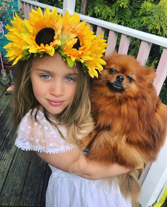 Sonnenblumen-Haarband Für Damen & Mädchen – 2 Stück, Blumenkrone Für Hochzeit, Festival, Party